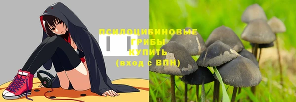 spice Алексин