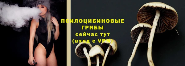 spice Алексин